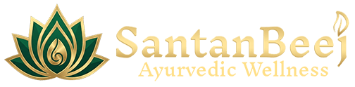 My Store